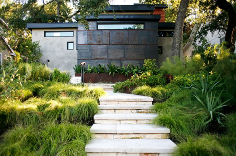 Green Texas garden photo.JPG