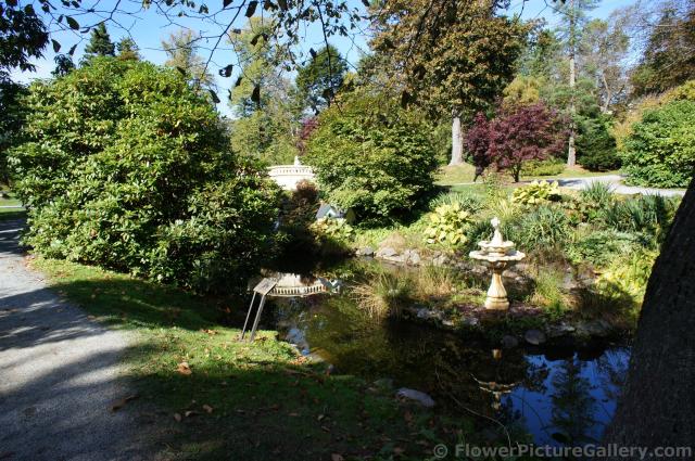 Fountain pond and bridge at the Halifax Public Gardens.jpg