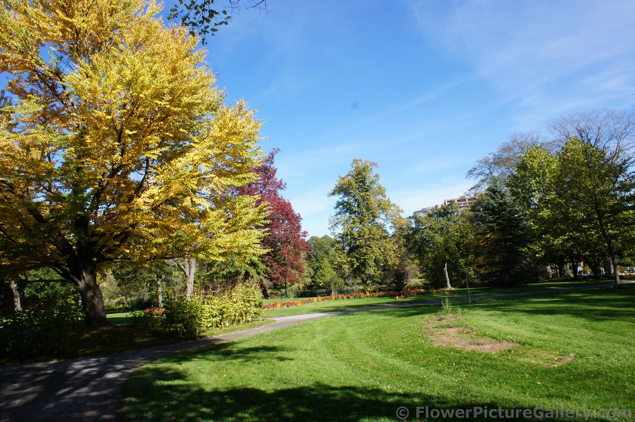 Fall foliage at Halifax Public Gardens.jpg