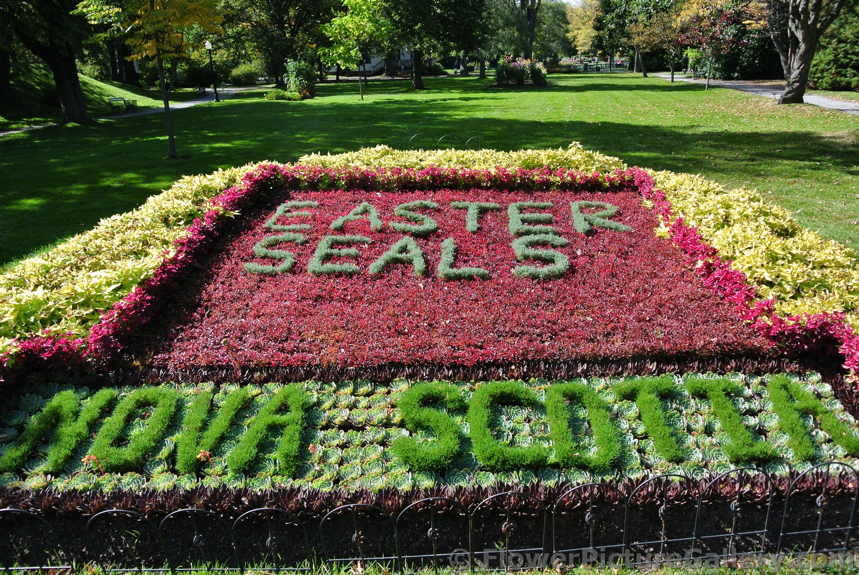 Easter Seals Nova Scotia Halifax Public Gardens.jpg