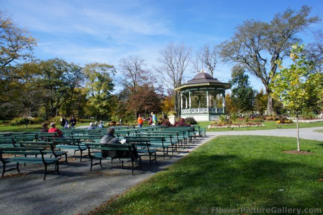 Benches in front of gazebo at Halifax Public Gardens.jpg