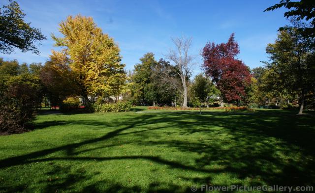 Trees with yellow and red leaves at Halifax Public Gardens.jpg