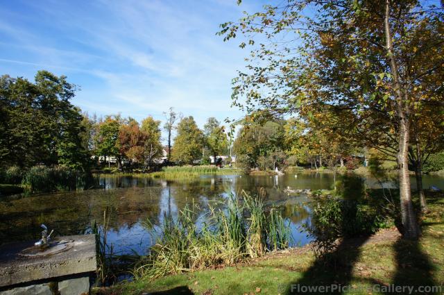 Pond at Halifax Public Gardens.jpg