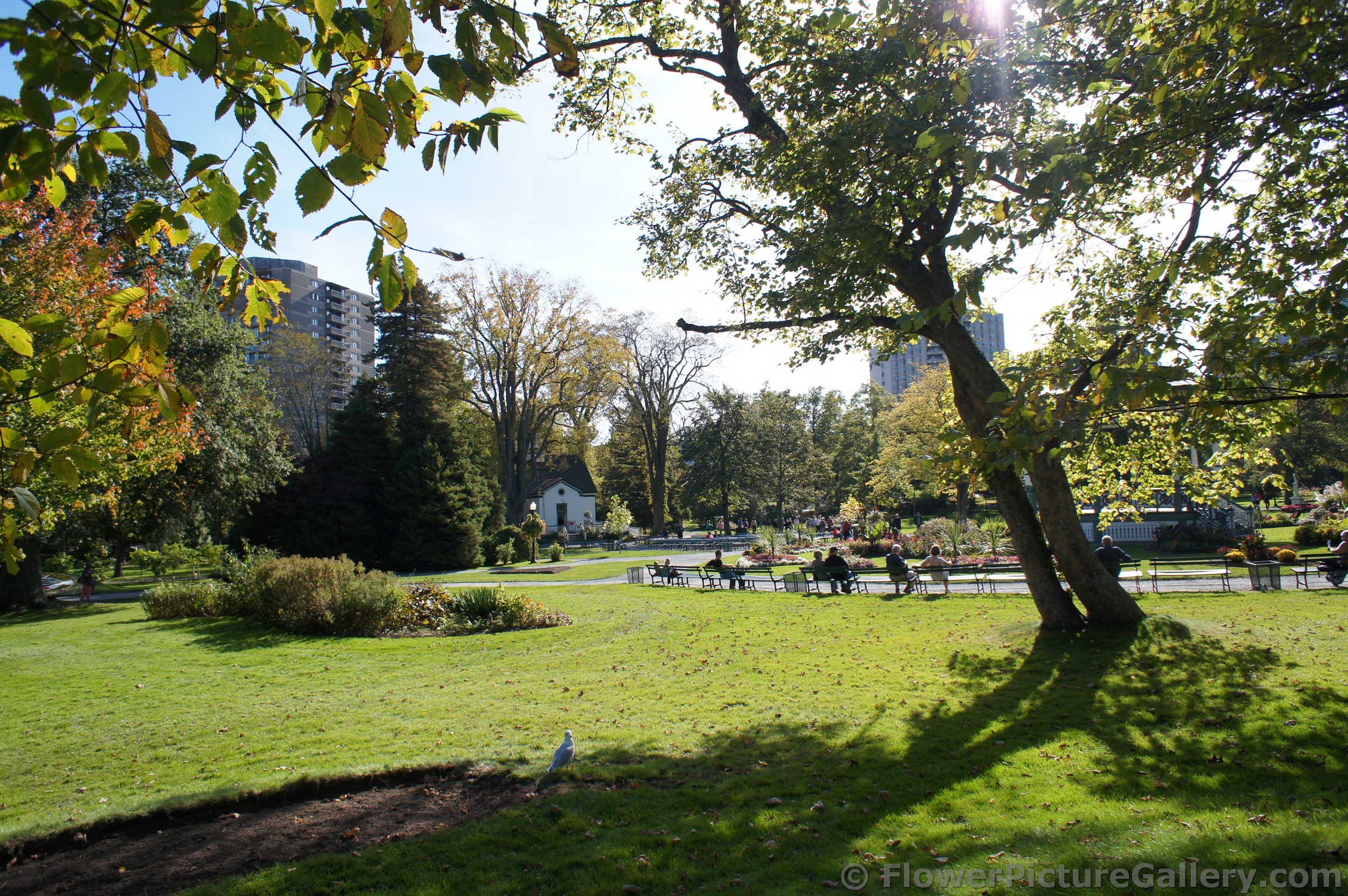 People sitting on benches at Halifax Public Gardens.jpg