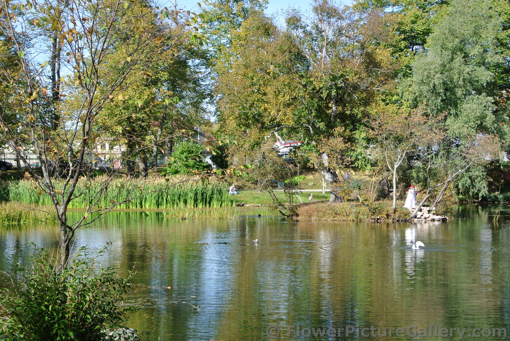 Miniature lighthouse at Halifax Public Gardens pond.jpg