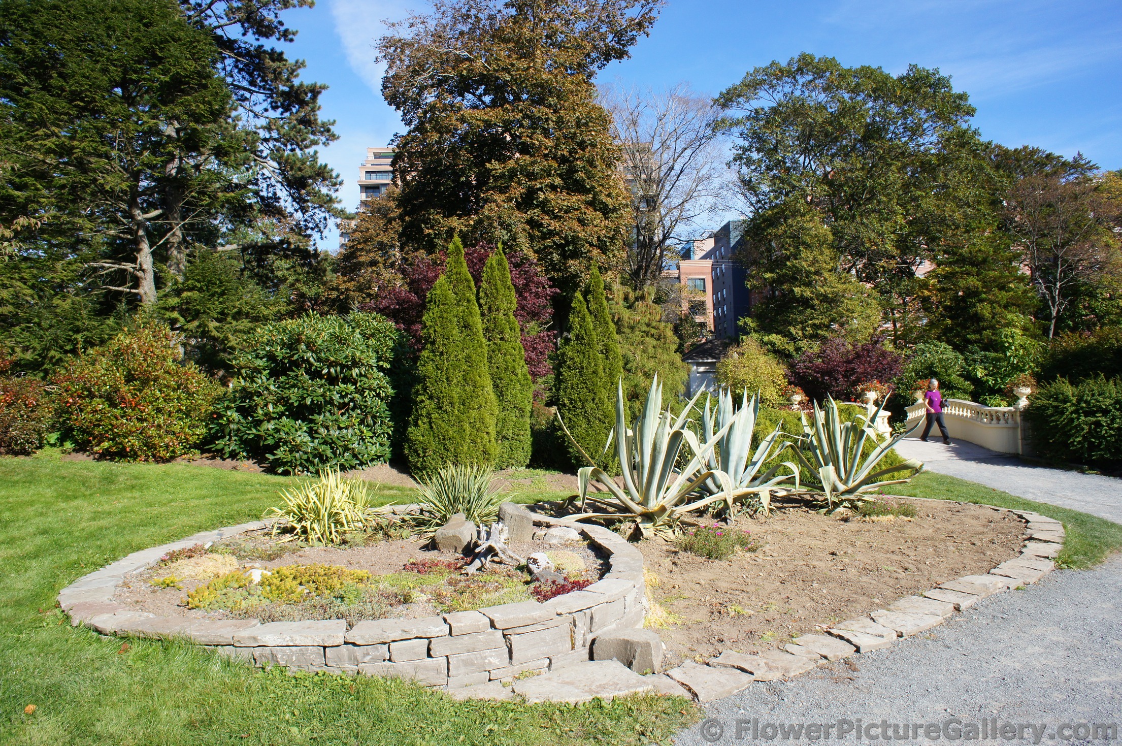Mini garden of drought-tolerant plants at Halifax Public Gardens.jpg
