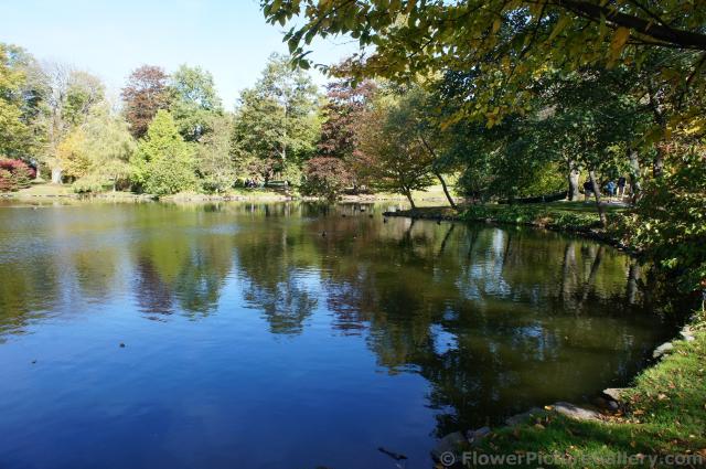 Halifax Public Gardens pond with ducks.jpg