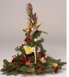 Christmas flowers photos.JPG