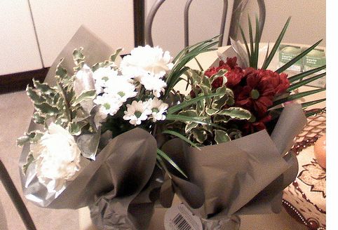 Christmas gifts flowers photo.JPG