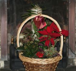 Images of christmas flowers basket.JPG