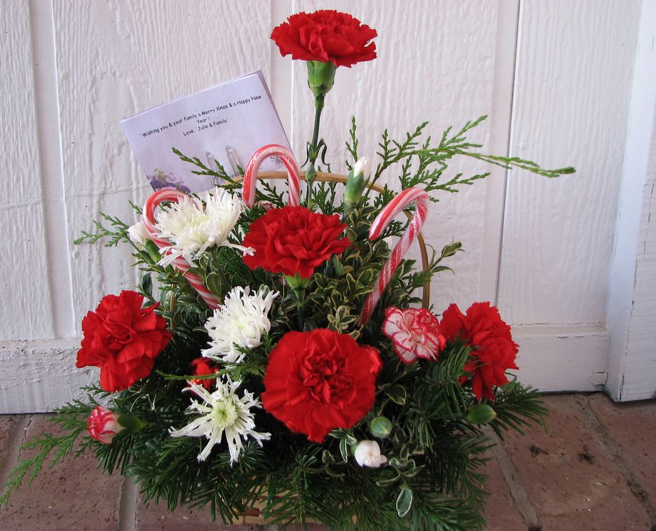 Photos of christmas flower gifts.JPG