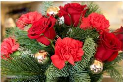 Pictures of of christmas flowers.JPG