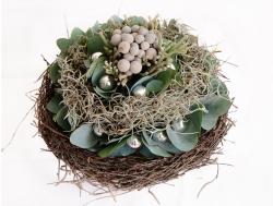 Popular christmas flowers.JPG