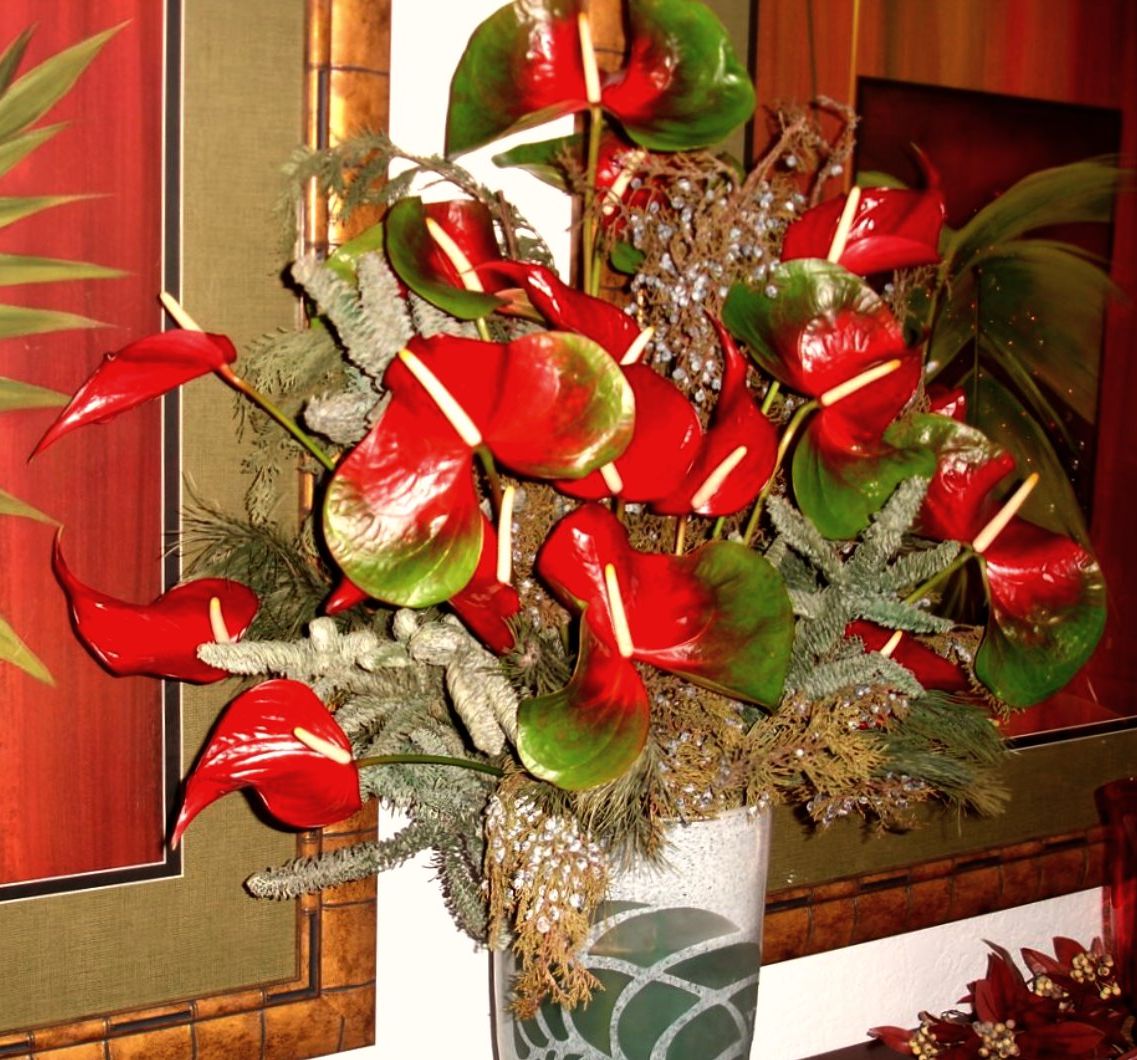 Tropical Hawaii Flowers for Christmas.JPG