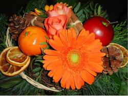 unique christmas flowers.JPG