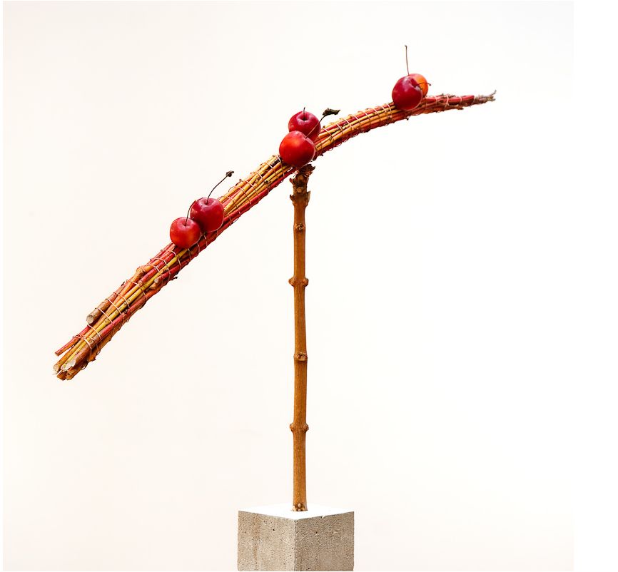 Very cool Christmas centerpiece.JPG