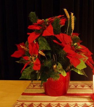 Christmas day flowers.JPG