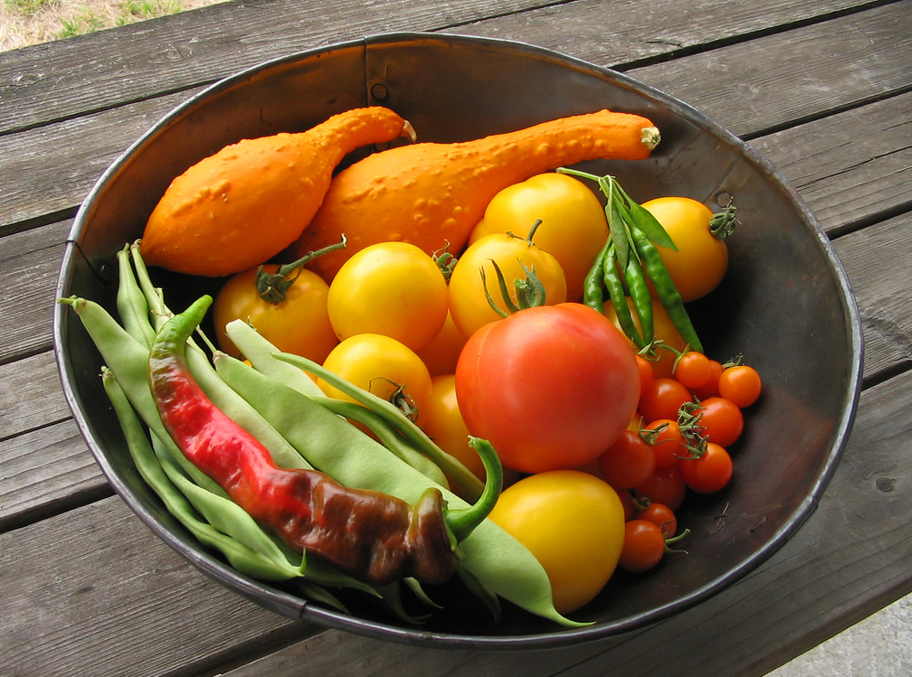 vegetable garden fertilizer.PNG
