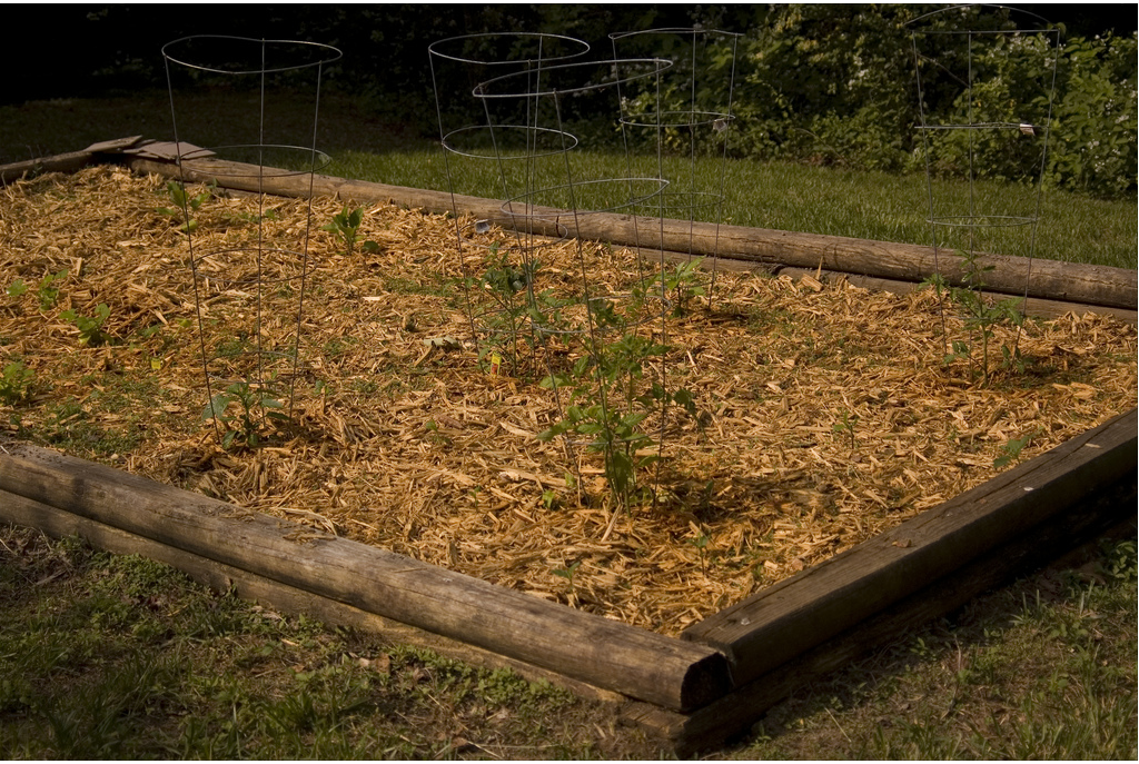 Vegetable garden box picture.PNG