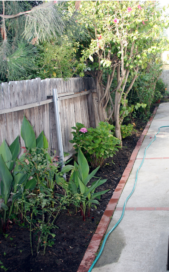 Vegetable garden design pictures.PNG