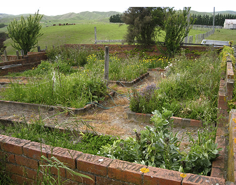 Vegetable garden picture.PNG