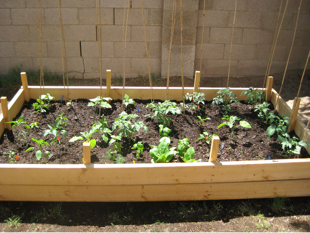 Veggie Garden images.PNG