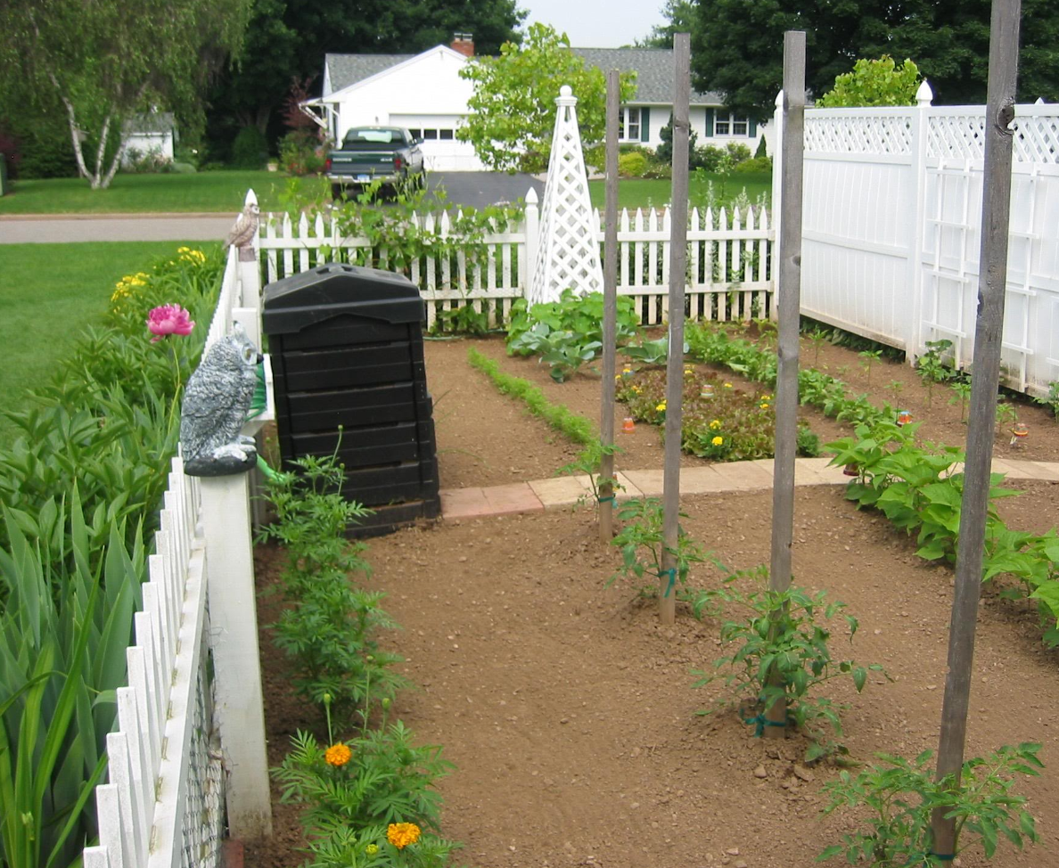 home vegetable gardens_garden designs.PNG