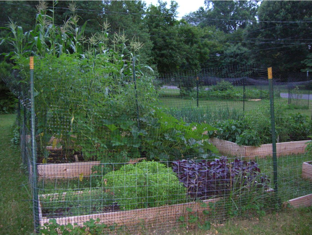 Maple Hoo Garden images.PNG