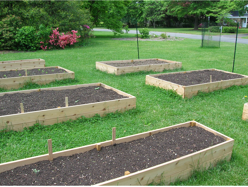 Picture of garden containers.PNG