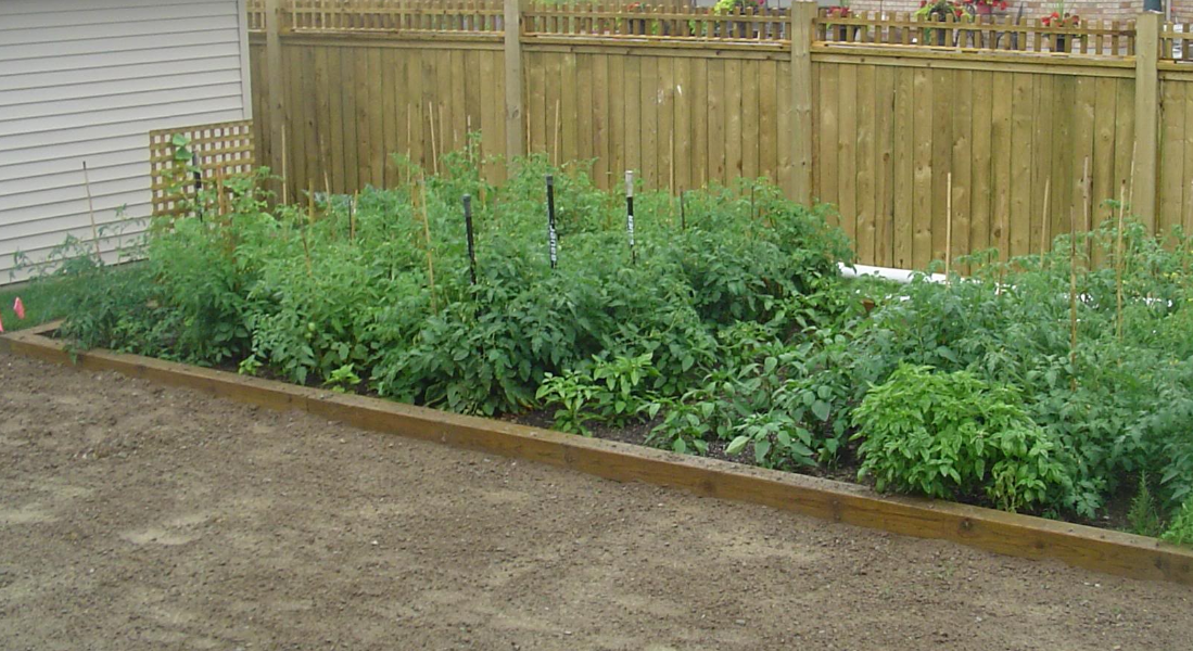 square foot gardening_great vegetable garden ideas.PNG