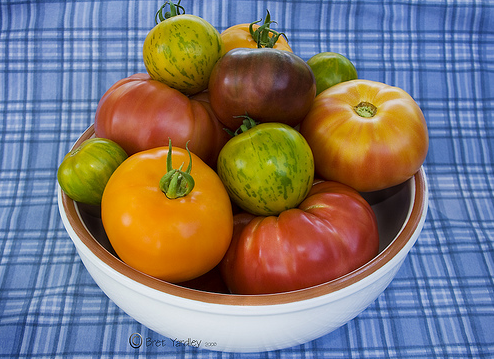 Summer Tomatoe_easy vegetable garden.PNG