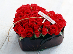 Valentine Flower Pictures