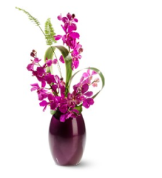 Bright pink valentine day flower image.PNG