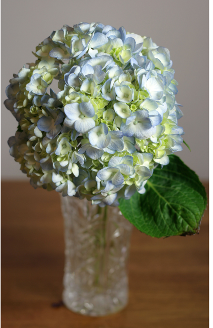 Photos of cheap valentines flowers.PNG