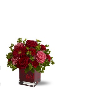Rich red valentines day flower pictures.PNG