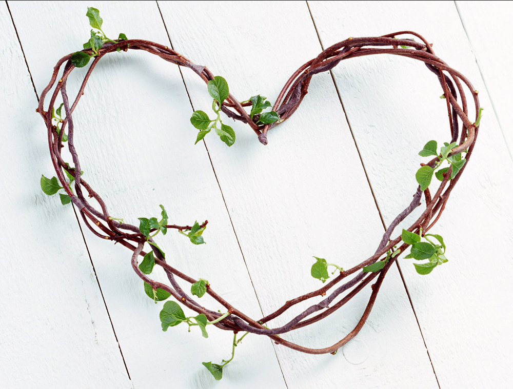 Branches valentine gift idea with green small leaves.PNG