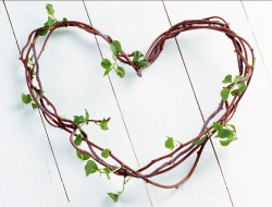 Branches valentine gift idea with green small leaves.PNG