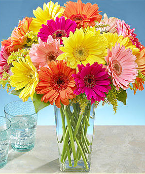 Colorful daisies valentines day image.PNG