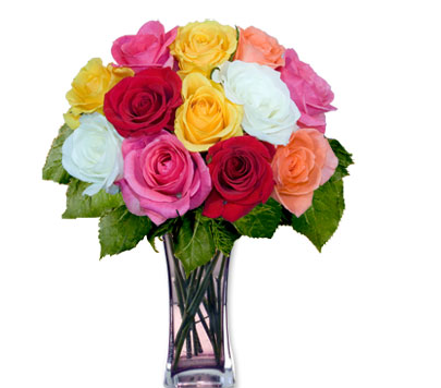 Colorful roses for valentines day.PNG