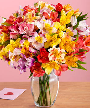 Peruvian Lilies in glass vase pictures.PNG