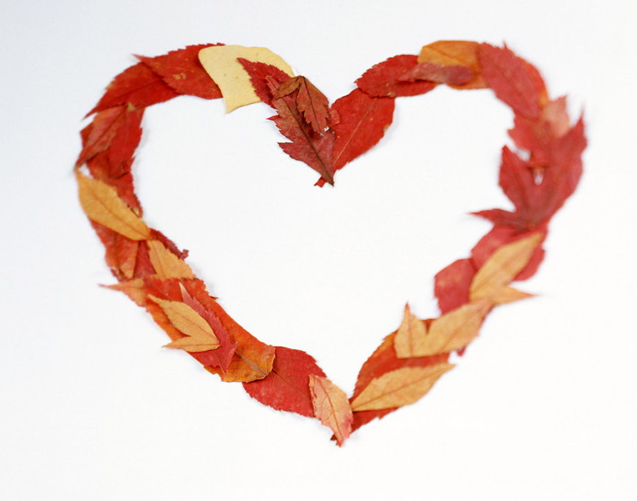 Orange leaves valentine heart shape.PNG