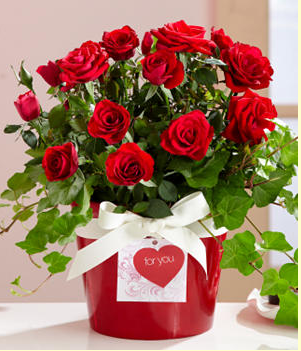 Red bouquet for valentine day.PNG
