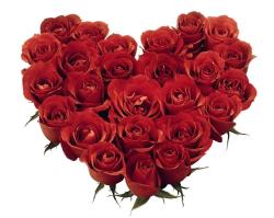 Red roses heart shaped bouquet photos.JPG