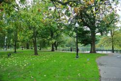 Green grass and trees with pond in background at Boston Public Garden.jpg