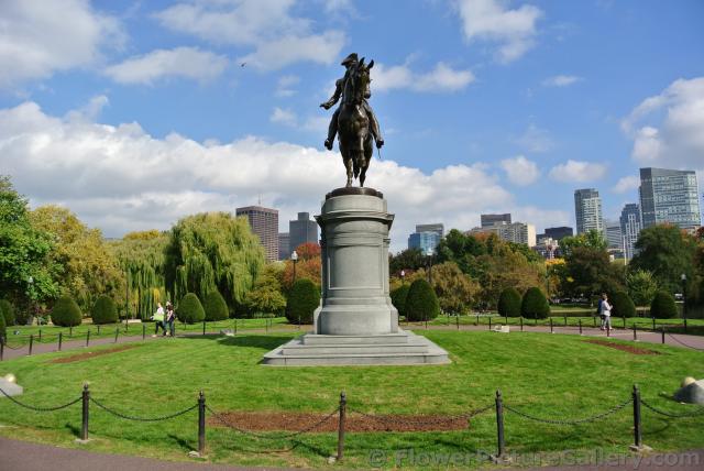 Front view of George Washington Statue in Boston Public Garden.jpg