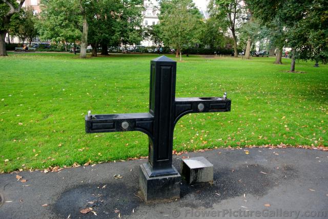 Drinking fountain at Boston Public Garden.jpg