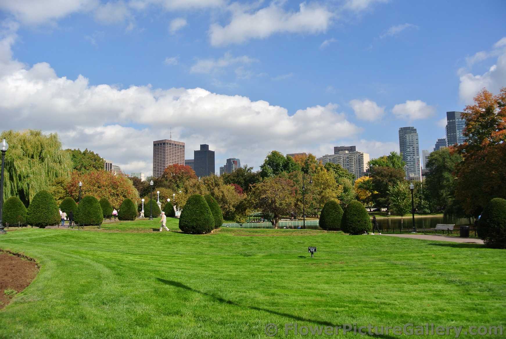 Boston Public Garden in the fall.jpg