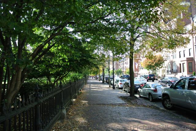 Beacon street sidewalk right outside Boston Public Garden.jpg