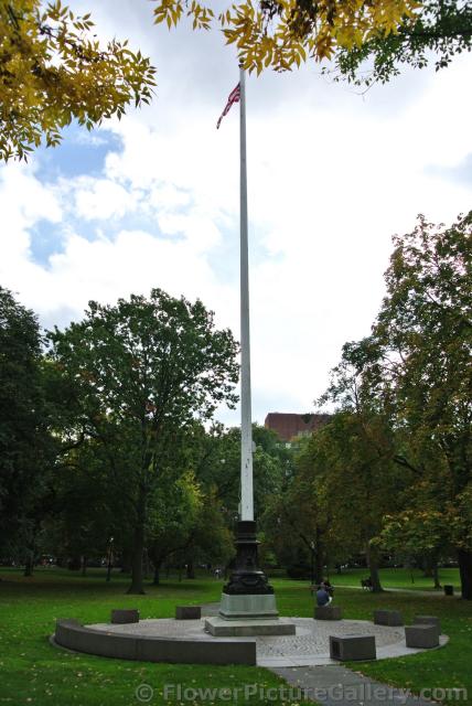 USA Flag on tall pole at Boston Public Garden.jpg