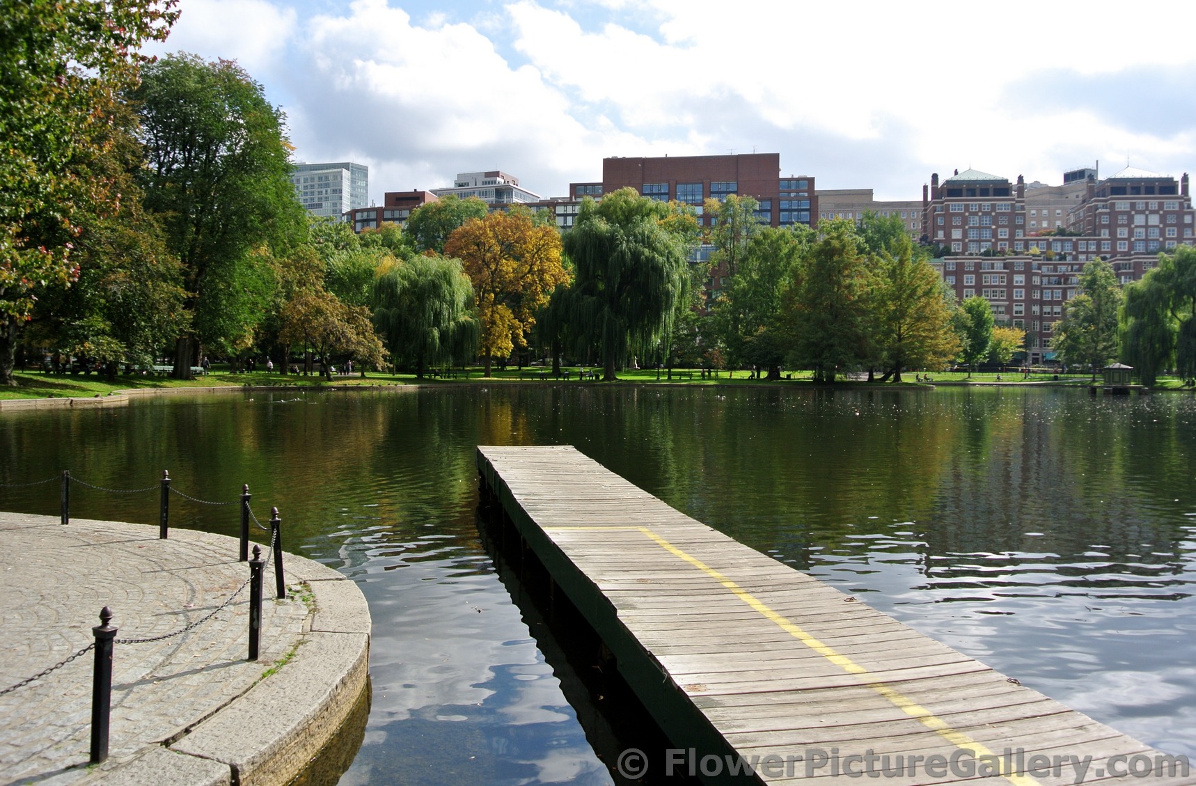 Swan Boats dock and pond of Boston Public Garden.jpg